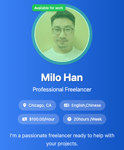 Developer Blue Template